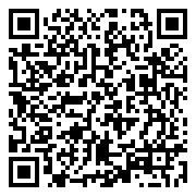 太阁立志2（0.1折）